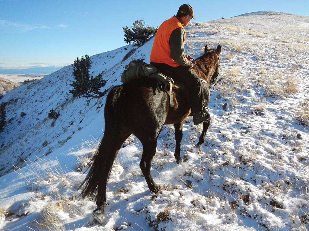 Proper foot placement in the stirrup allows the rider to dismount quickly in case of an emergency.